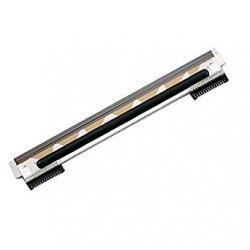 Głowica do drukarki ZEBRA ZD621d 203dpi P1112640-050